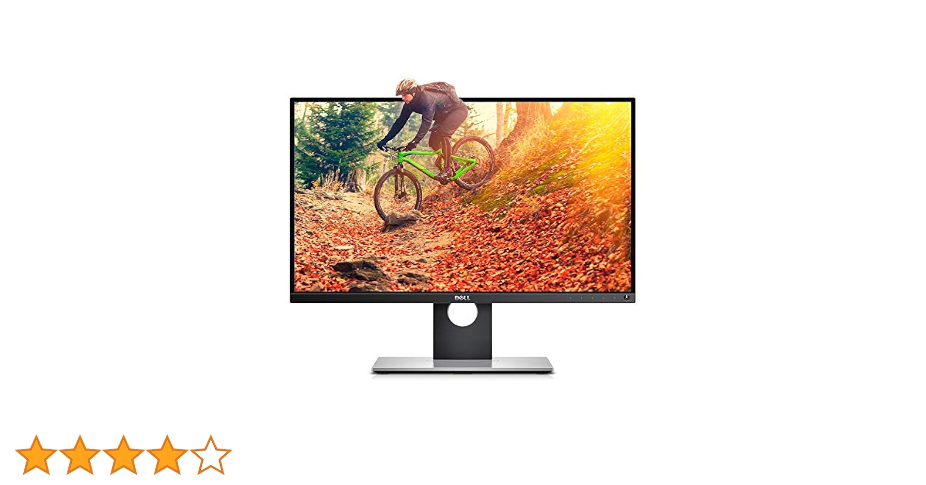 Dell Ultrasharp 25